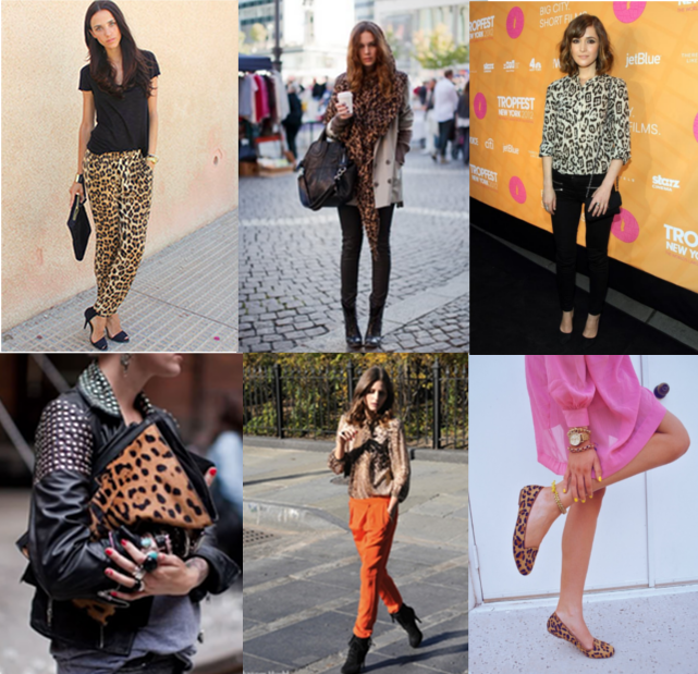The fashion room - animal print