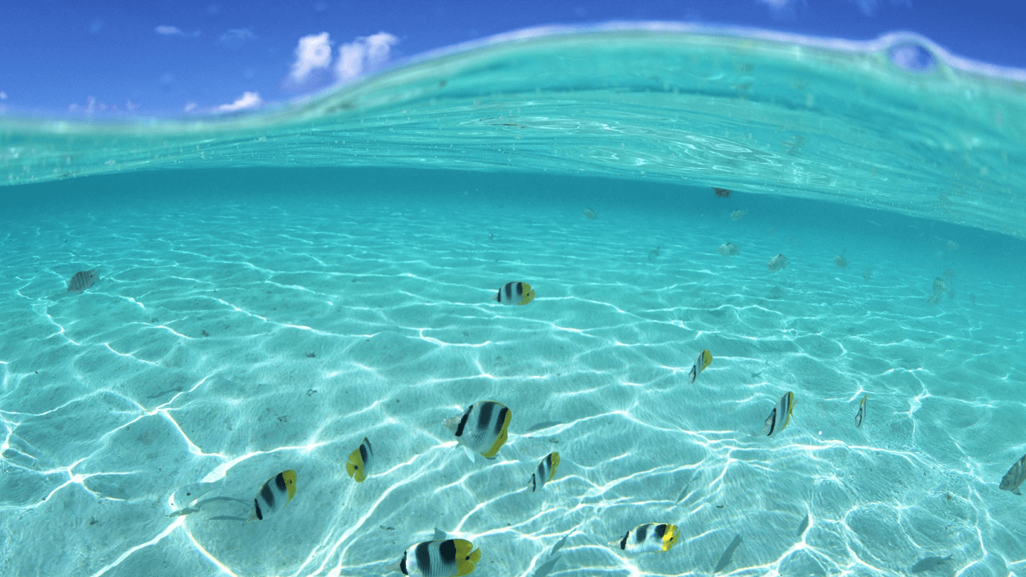 Color primavera/verano 2015: Aguamarina